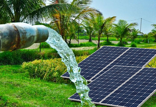 Solar Pump in Farm